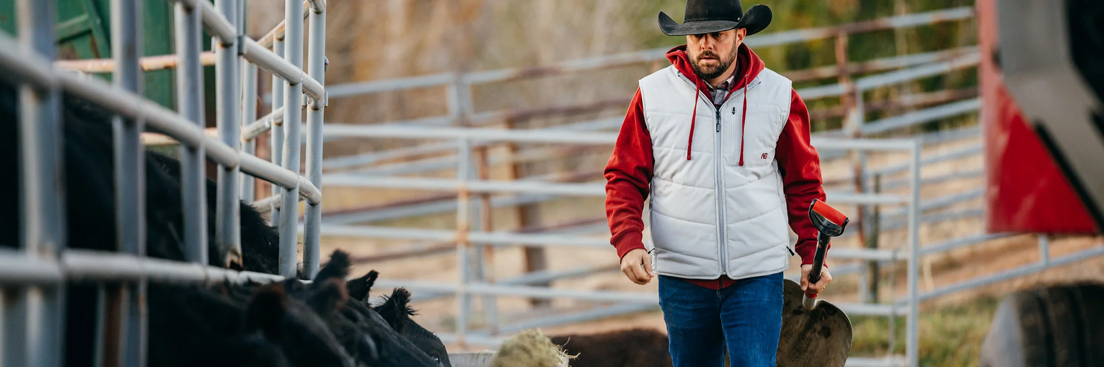 Front Page -WearWell Store 6.1